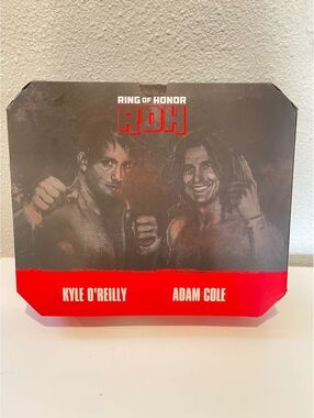 Ring of Honor ROH Kyle O'Reilly and Adam Cole Action Figure